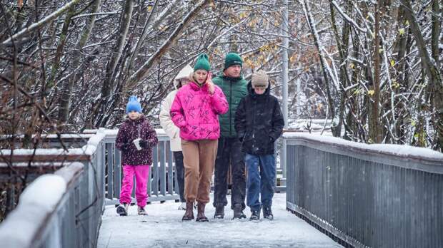 В Госдуме раскрыли размер новой семейной налоговой выплаты