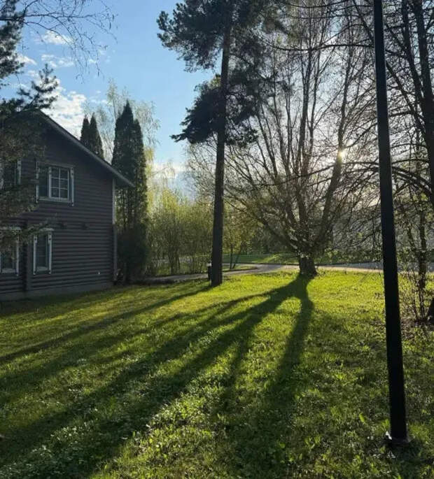 Фото Александра Петрова