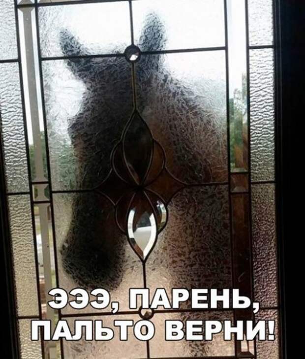 Новые фотомемы на Бугаге (23 шт)