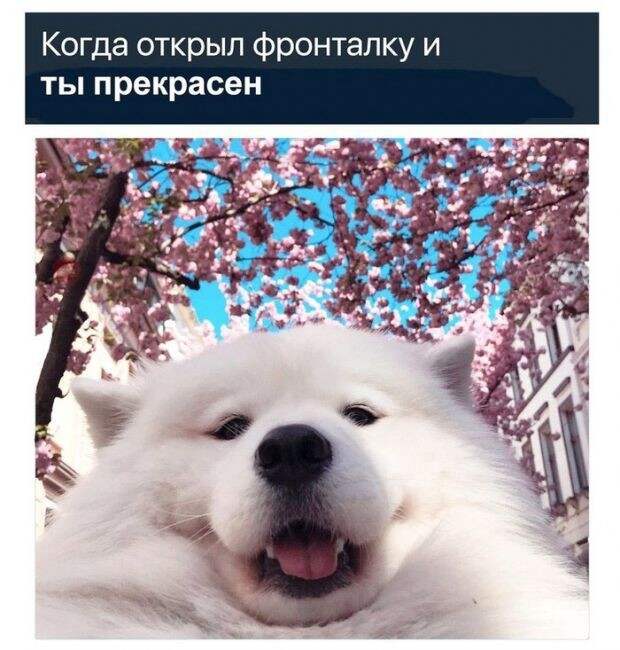 Почему у меня не так?:(