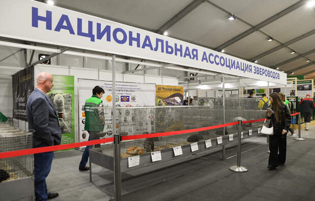 Предприятия Тверской области представляют свои достижения на агропромышленной выставке в Москве