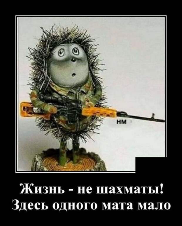 demotivatory-demotivator-smeshnye-demotivatory-demotivator-so-smyslom