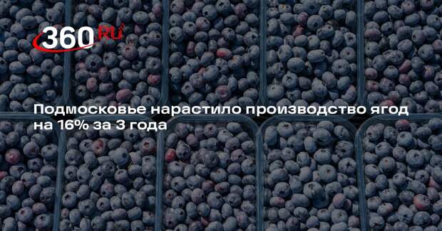 Подмосковье нарастило производство ягод на 16% за 3 года