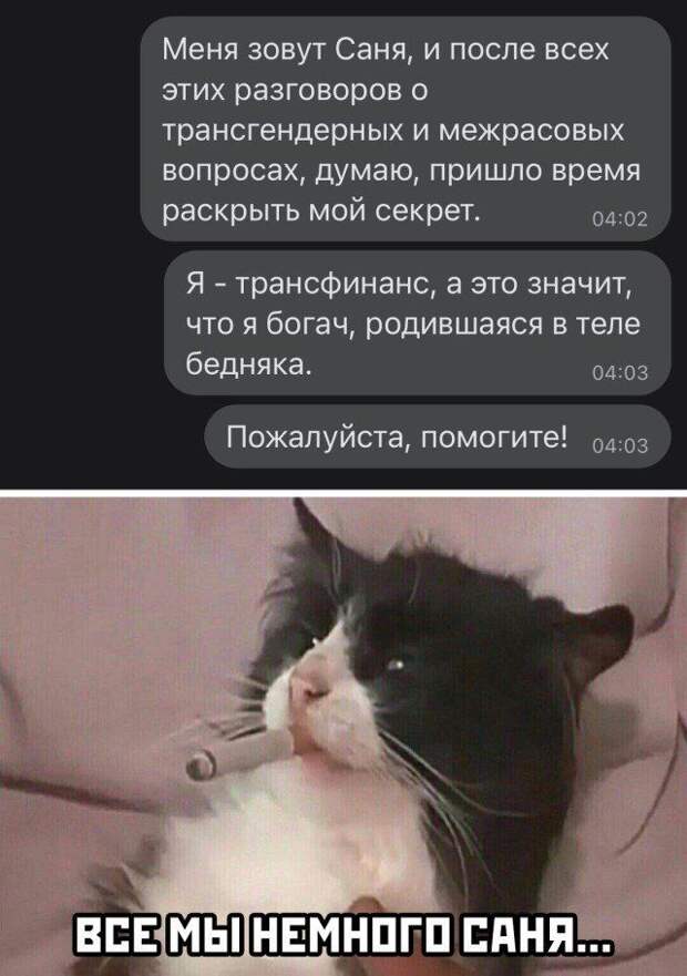 203560_5_trinixy_ru.jpg