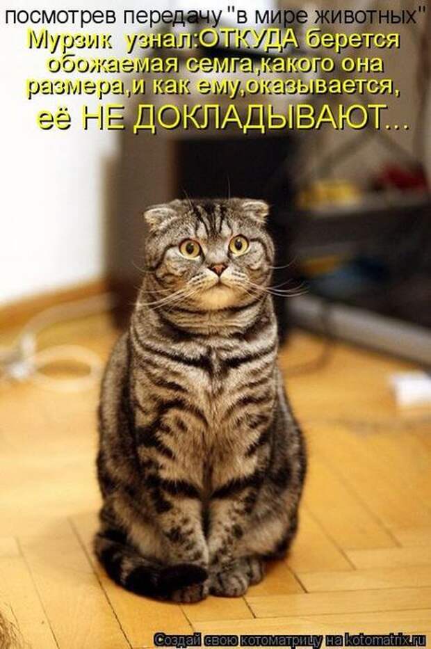Мысли вслух :)
