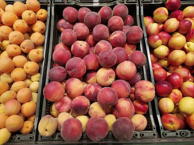 Диетолог Дианова: чтобы избежать последствий обезвоживания, следует есть клетчатку