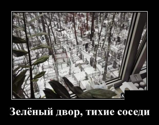 Демотиваторы (30 фото)