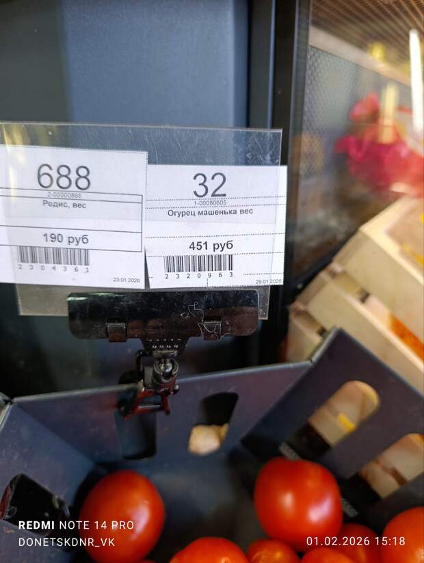 Огурцы или батат