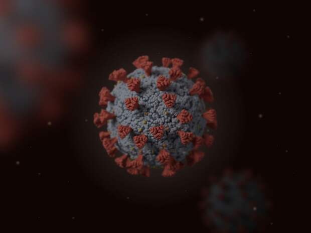 Медики в Севастополе за сутки выявили 61 нового больного коронавирусом