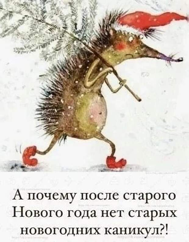 К некоторым людям надо относиться холодно , а то они портятся от тёплого отношения