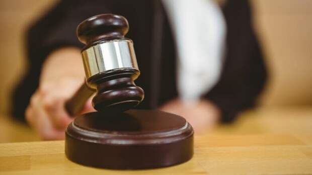 Жителю Красноярского края грозит до трех лет лишения свободы за убийство кошки