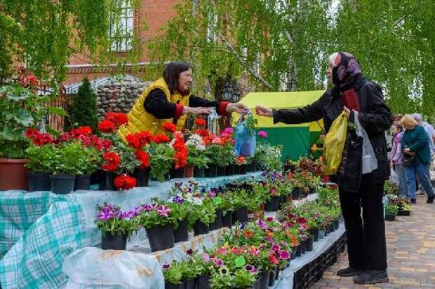 В Тамбове проходит Фестиваль цветов