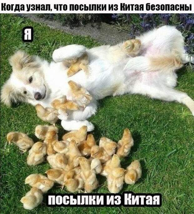 1582485759_0026.jpg