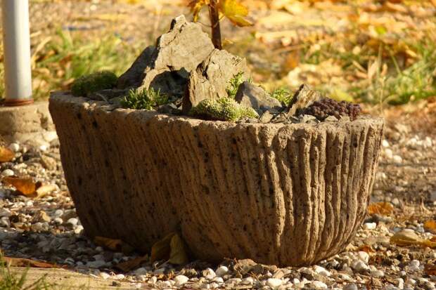 Любой пень или камень при правильном их оформлении могут стать отличным элементом декора для вашего сада