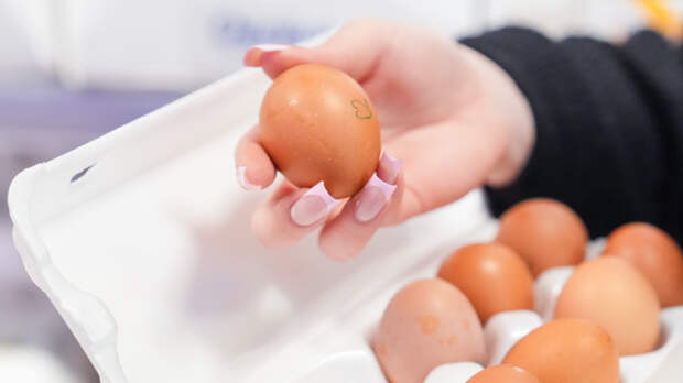 Куриный код: эксперты объяснили разницу между белыми и коричневыми яйцами