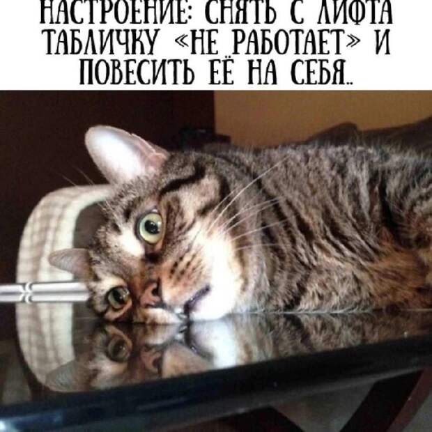 Донецкая группа новостей, Донецк ДНР