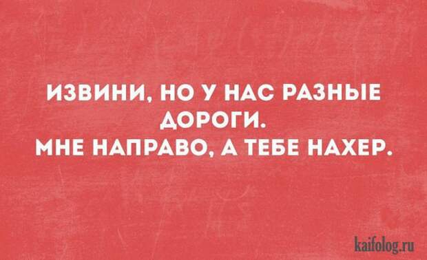 Смешные открытки (35 картинок)