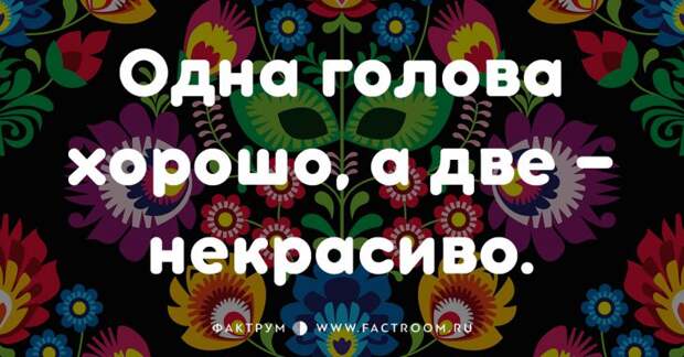 20 смешных современных поговорок, которых вы ещё не слышали 20 смешных современных поговорок, которых вы ещё не слышали
