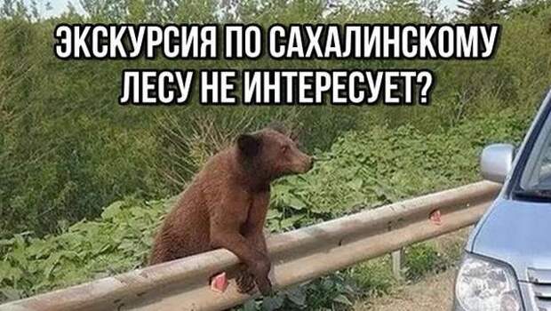 Веселые фотки с надписями (18 фото) . Чёрт побери