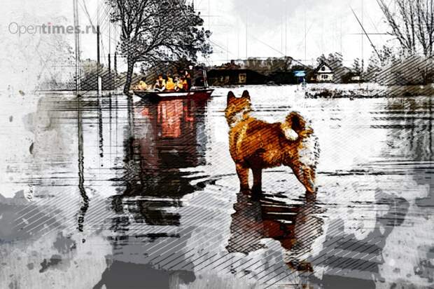 В Орловской области увеличилось число подтопленных мостов