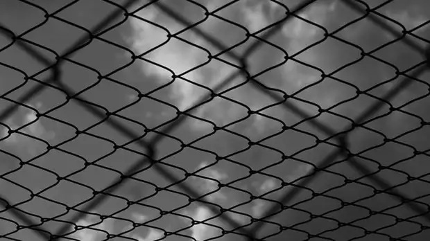 Финляндия намерена установить новый забор на границе с Россией