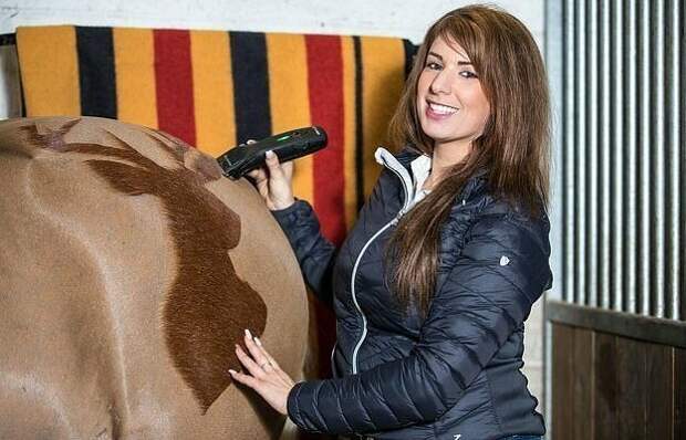 Мелоди Хеймс создала собственный бренд Horse Barber пять лет назад и теперь занимается художественной стрижкой лошадей по всему миру великобритания, искусство, картина, лошадь, парикмахер, стрижка, фото