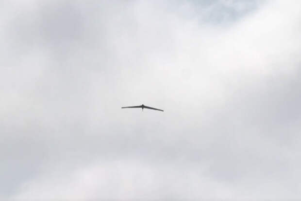 Детей эвакуируют в подвалы из-за угрозы беспилотников в российском городе