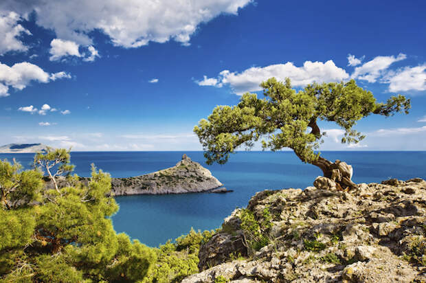 Crimea