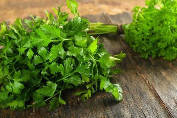 Как сохранить петрушку на зиму