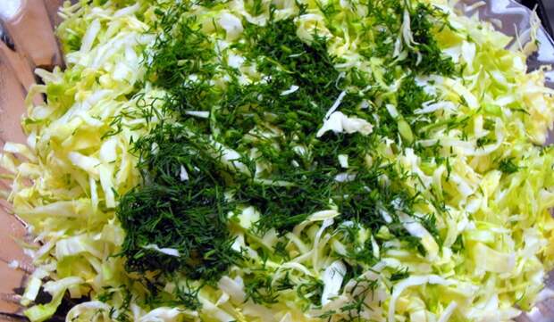 пирог с капустой и яйцом без дрожжей
