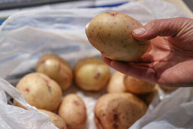 Ухудшит состояние: кому точно нельзя есть картошку, рассказал эксперт