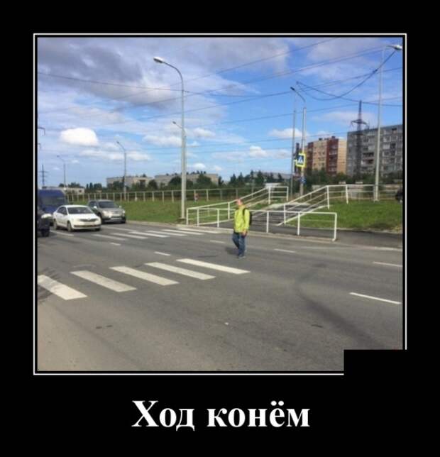 Демотиваторы (30 фото)