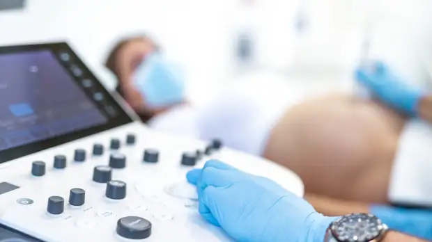 Репродуктолог рассказала о пробелах в законодательстве России касательно суррогатного материнства