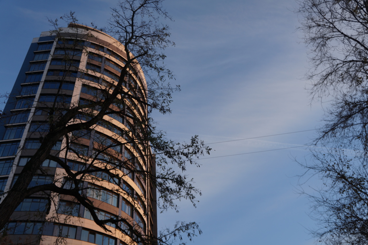 Погода в Ростове-на-Дону 16 апреля 2022: прогноз синоптиков