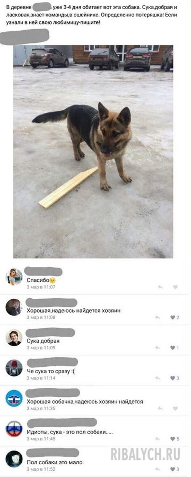 комменты из соцсетей