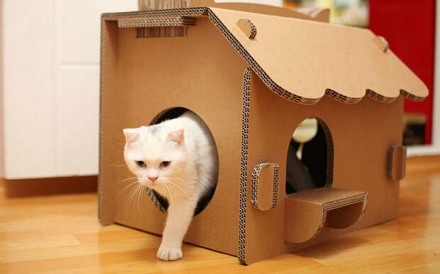 Необычные домики для кошек своими руками и не только, фото № 4
