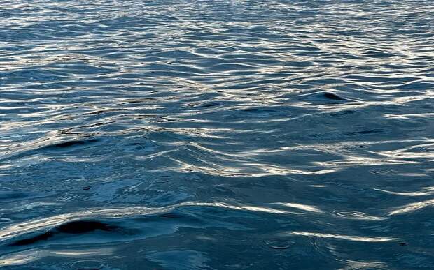 Ока под Рязанью освободилась ото льда