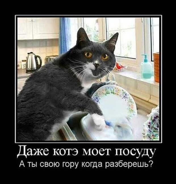 Демотиваторы (30 фото)