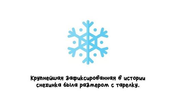 Интересные короткие факты на все случаи жизни