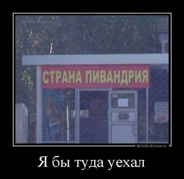 1475822606_demki-12