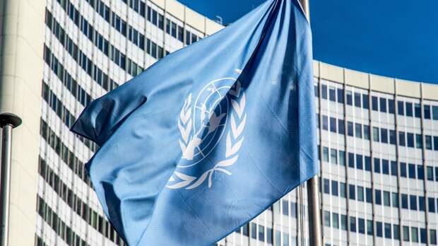 Амир Абдалла добровольно покинул пост координатора ООН по зерновой сделке