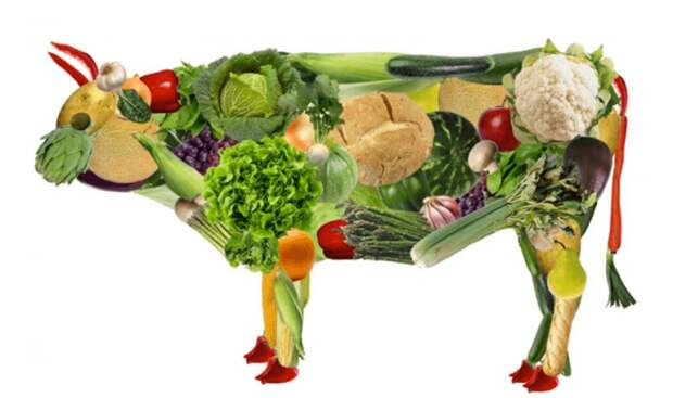Вегетарианская диета полезнее веганы, веганы и мясоеды, мифы, мясо