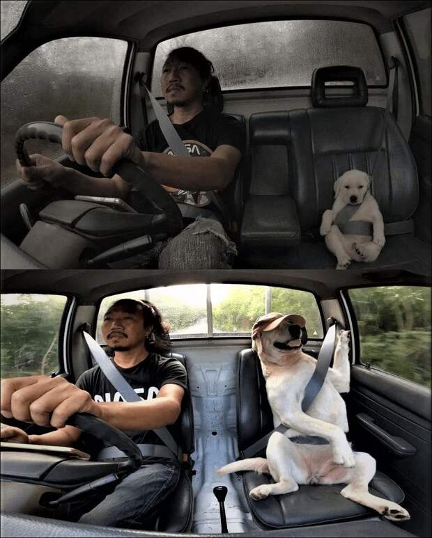 фото приколы