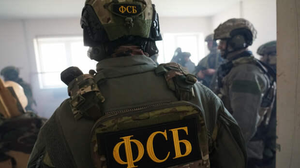 Инструкторы из НАТО, руководство в ГУР: чем известны террористы из «Грузинского легиона»*