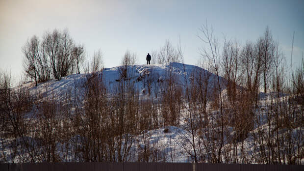Новгородцы добиваются от ПАО «Магнит» передачи земли в городскую собственность