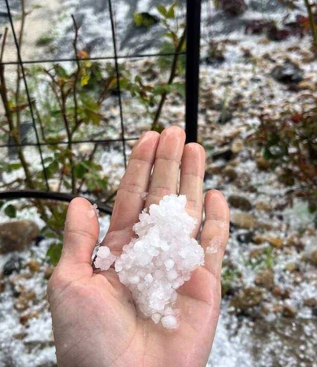 Синоптик Паршина: 9 апреля в Москве может выпасть град