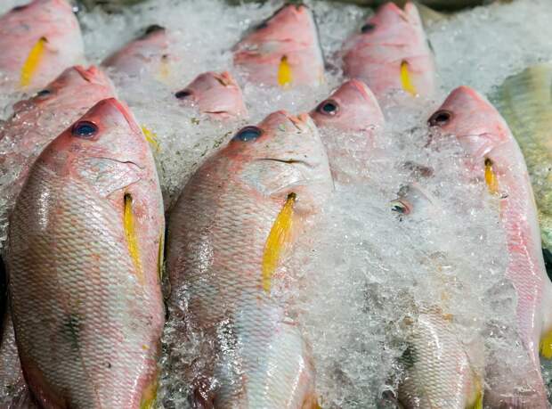 В Роспотребнадзоре напомнили об опасности сырой рыбы и морепродуктов