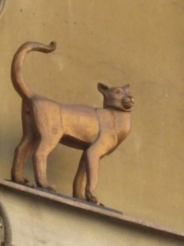 Кошка Василиса 