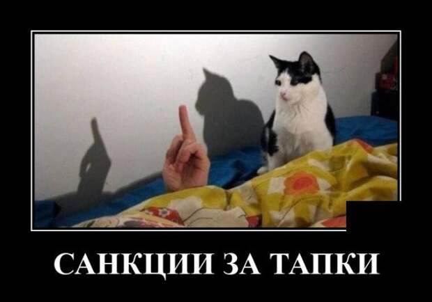 Демотиватор про санкции