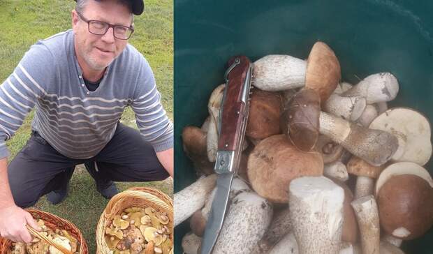 В тюменских лесах уже пошли маслята, сморчки и подберезовики